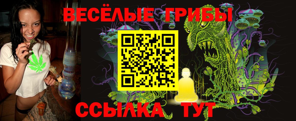 Кунгур  Псилоцибиновые грибы ЛСД  Вход с VPN  купить   Псилоцибиновые грибы MAGIC MUSHROOMS 